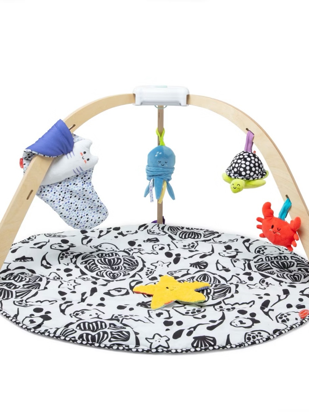 Melissa & Doug Ocean Easy-Fold Play Gym